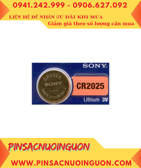 CV 2024 11 26T125849 337