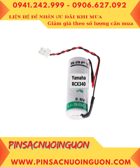 CV 2024 12 28T152352 449