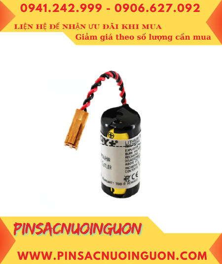 FANUC A02B-0118-K111 ; Pin nuôi nguồn FANUC A02B-0118-K111 lithium 3v chính hãng, Xuất xứ Nhật